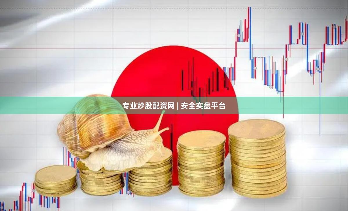 专业炒股配资网 | 安全实盘平台