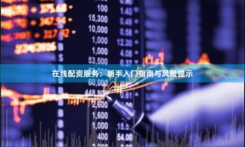 在线配资服务：新手入门指南与风险提示